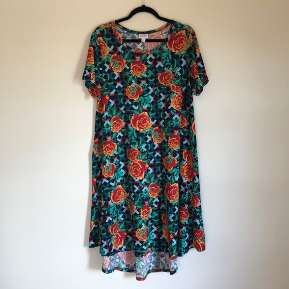 LuLaRoe Dresses & Skirts - LuLaRoe Carly Dress